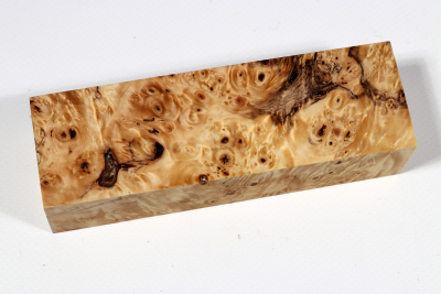 Knife Blank Horse Chestnut Burl stabilized - Stabi3102