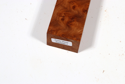 Knife Block Elm Burl - RuesM0617