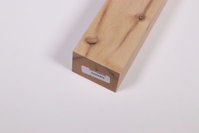 Knife Block Holly - Ilex0063