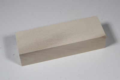 Messergriffblock Stechpalme - Ilex0084