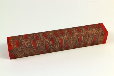 Banksia Pen Blank Orange