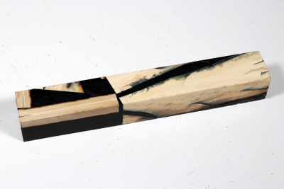 Pen Blank Mammoth Ivory stabilzed - Mamm0208
