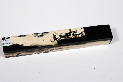 Pen Blank Mammoth Ivory stabilzed - Mamm0242