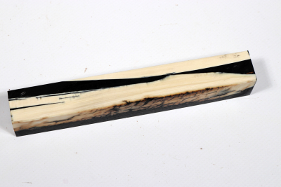 Pen Blank Mammut Elfenbein stabilisiert - Mamm0260