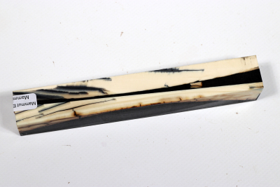 Pen Blank Mammoth Ivory stabilzed - Mamm0248