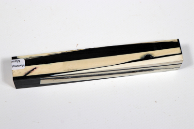 Pen Blank Mammoth Ivory stabilzed - Mamm0259