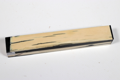 Pen Blank Mammoth Ivory stabilzed - Mamm0259