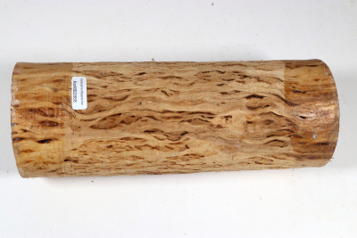 Rundling Karelische Maserbirke, gestockt 225x85mm - KarMB2868