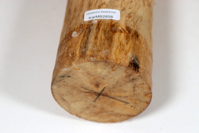 Rundling Karelische Maserbirke, gestockt 230x65mm - KarMB2858