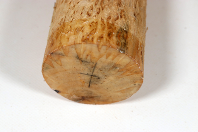 Rundling Karelische Maserbirke, gestockt 230x65mm - KarMB2858