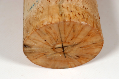 Rundling Karelische Maserbirke, gestockt 260x75mm - KarMB2863