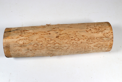 Rundling Karelische Maserbirke, gestockt 260x75mm - KarMB2863 Rundling Karelische Maserbirke, gestockt 260x75mm - KarMB2863