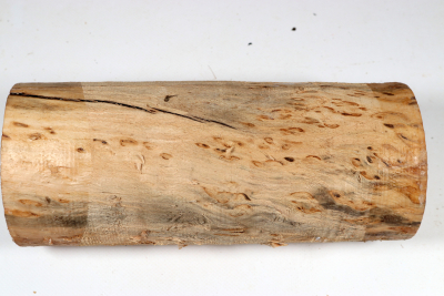 Rundling Karelische Maserbirke, gestockt 280x95mm - KarMB2870