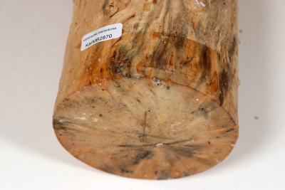 Rundling Karelische Maserbirke, gestockt 280x95mm - KarMB2870