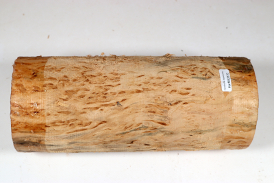 Rundling Karelische Maserbirke, gestockt 280x95mm - KarMB2870