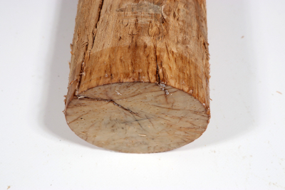 Karelian Masurbirch, spalted 325x95mm - KarMB2275