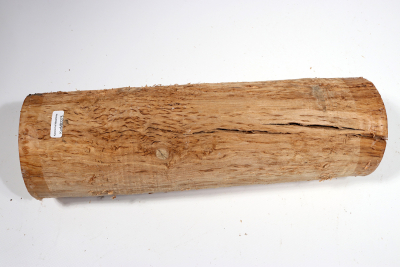 Karelian Masurbirch, spalted 325x95mm - KarMB2275