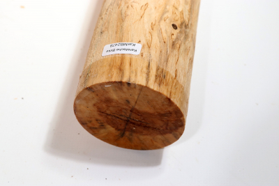 Rundling Karelische Maserbirke, gestockt 330x70mm - KarMB2478