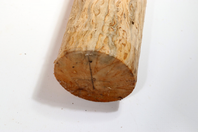 Rundling Karelische Maserbirke, gestockt 330x70mm - KarMB2478