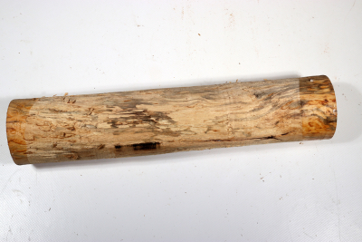 Rundling Karelische Maserbirke, gestockt 330x70mm - KarMB2657