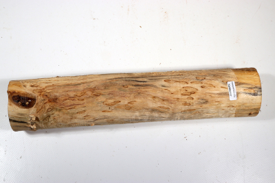 Rundling Karelische Maserbirke, gestockt 330x70mm - KarMB2657