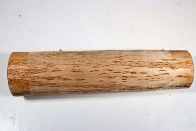Karelian Masurbirch, spalted 330x80mm - KarMB2667