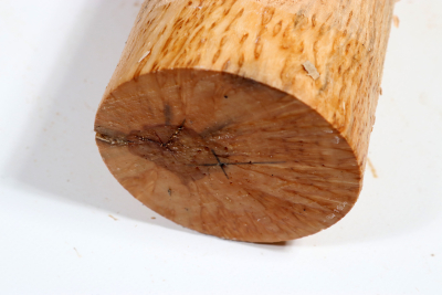 Karelian Masurbirch, spalted 330x80mm - KarMB2667