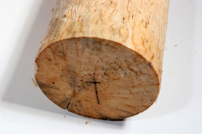 Karelian Masurbirch, spalted 330x85mm - KarMB2660