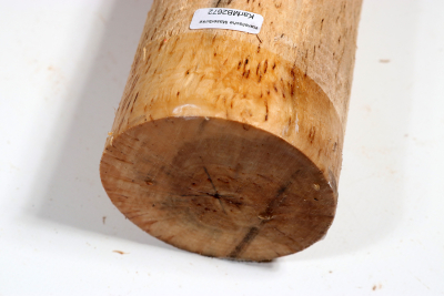 Karelian Masurbirch, spalted 330x85mm - KarMB2672