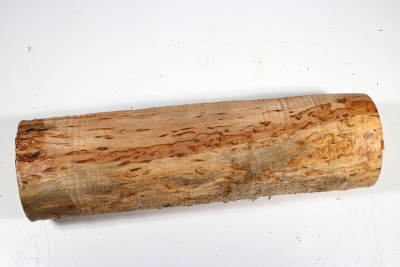 Karelian Masurbirch, spalted 330x95mm - KarMB2666