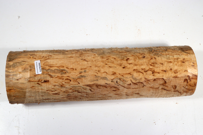 Karelian Masurbirch, spalted 330x95mm - KarMB2666
