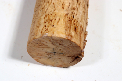 Karelian Masurbirch, spalted 335x55 mm - KarMB2674