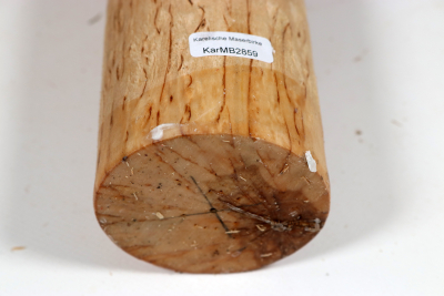 Karelian Masurbirch, spalted 335x70mm - KarMB2859