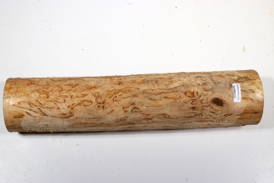 Karelian Masurbirch, spalted 335x75mm - KarMB2659