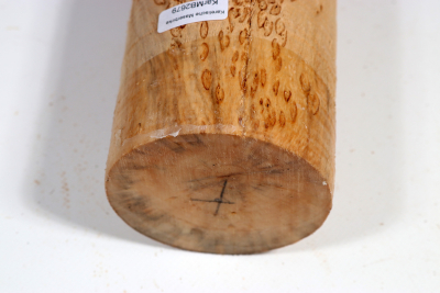 Karelian Masurbirch, spalted 335x75 mm - KarMB2679