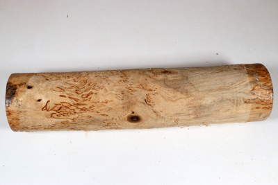 Rundling Karelische Maserbirke, gestockt 335x75mm - KarMB2855