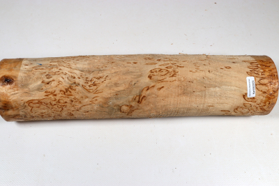 Rundling Karelische Maserbirke, gestockt 335x75mm - KarMB2855