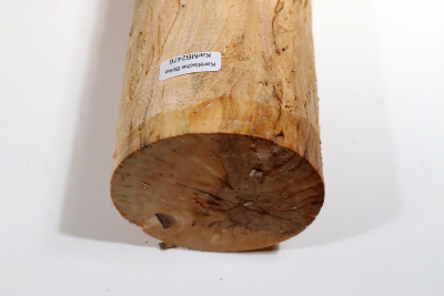 Karelian Masurbirch, spalted 335x85mm - KarMB2476