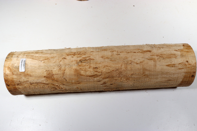 Karelian Masurbirch, spalted 335x85mm - KarMB2476