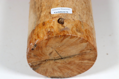 Karelian Masurbirch, spalted 335x85mm - KarMB2878