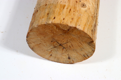 Karelian Masurbirch, spalted 335x90mm - KarMB2662