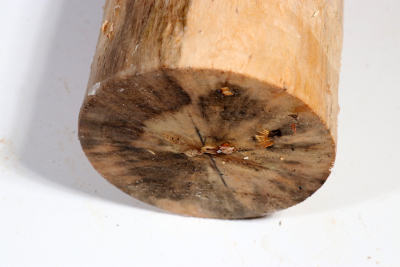 Karelian Masurbirch, spalted 335x90mm - KarMB2677