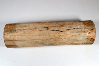 Karelian Masurbirch, spalted 340x100mm - KarMB2871