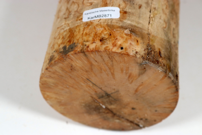 Karelian Masurbirch, spalted 340x100mm - KarMB2871