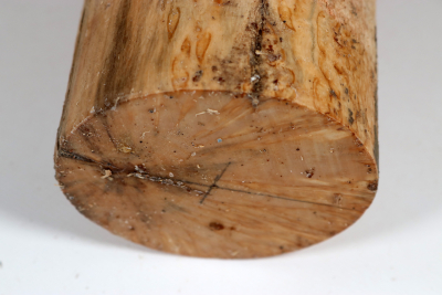 Karelian Masurbirch, spalted 340x100mm - KarMB2871