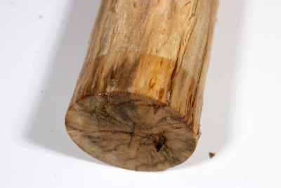 Karelian Masurbirch, spalted 340x70mm - KarMB2245