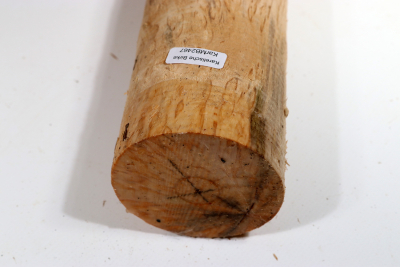 Rundling Karelische Maserbirke, gestockt 340x70mm - KarMB2467
