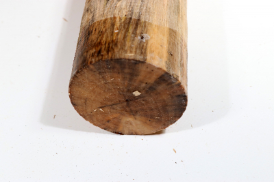Rundling Karelische Maserbirke, gestockt 340x70mm - KarMB2467