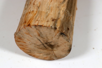 Karelian Masurbirch, spalted 340x70mm - KarMB2860