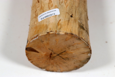 Karelian Masurbirch, spalted 340x70mm - KarMB2873